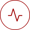 Physical Examination